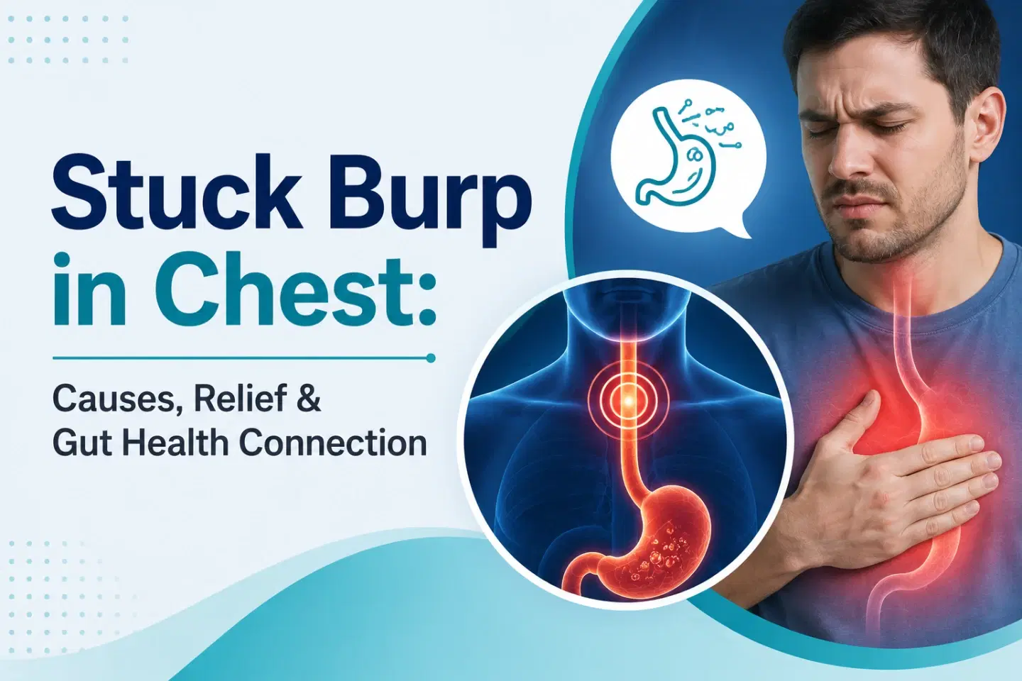 Stuck Burp in Chest: Causes, Gut Health Connections, & How to Get Relief