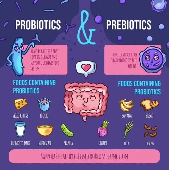 Exploring the Relationship Between Gut Health and Autoimmune Diseases.